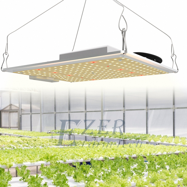50W Full Spectrum Board Panel LED Grow Light – Ezerfarm-忆择农业技术